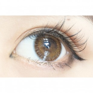 FLANMY Choco Tart 10片裝